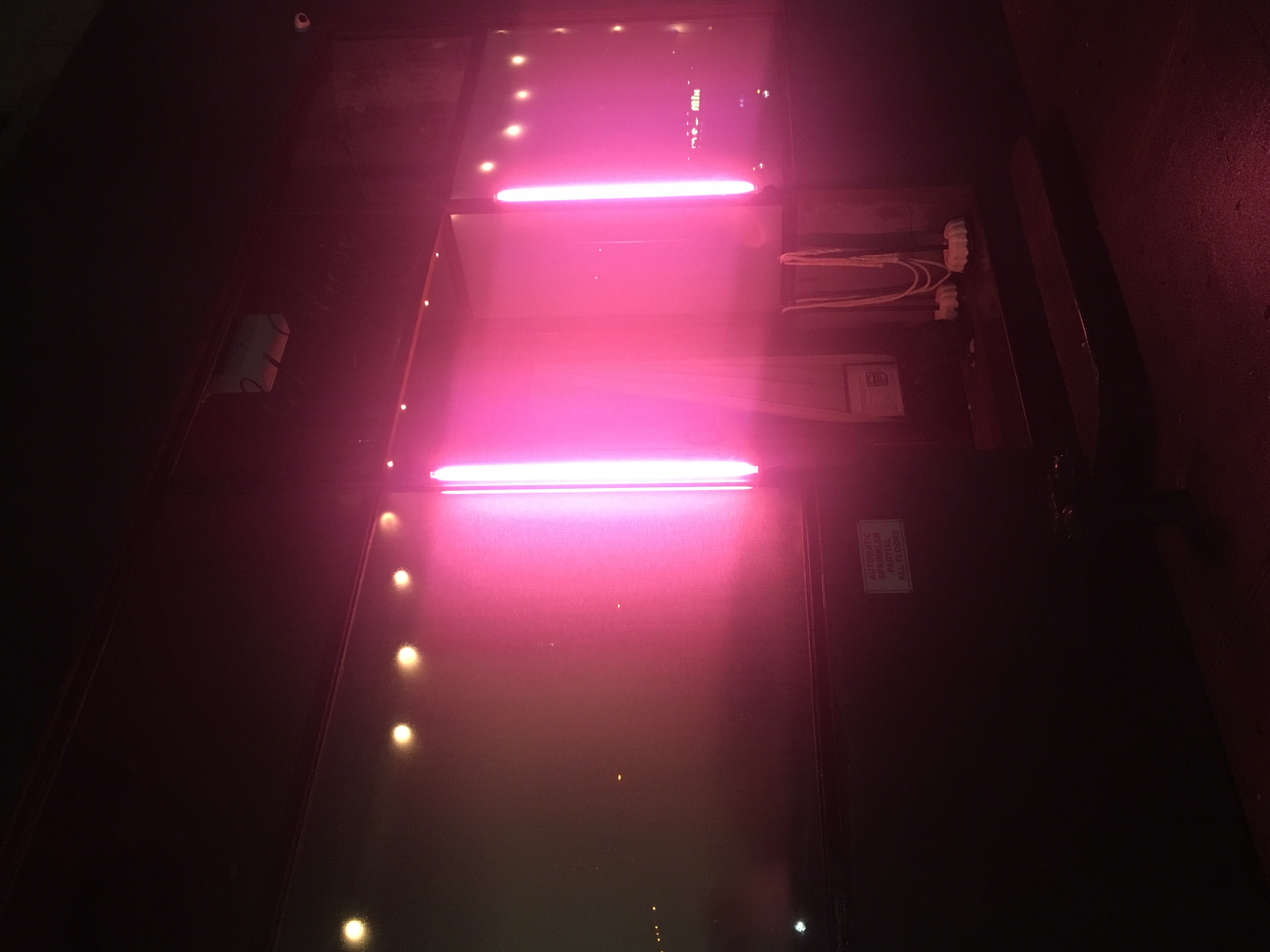 neon_nyc